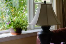 Aunt Mary's house.-2715.jpg