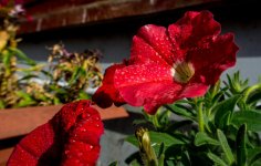 DSC_0471.jpg