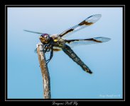 DSC_2107_Web.jpg