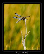 DSC_2117_Web.jpg