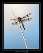 DSC_2159_Web.jpg