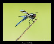 DSC_2173_Web.jpg