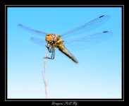 DSC_2202_Web.jpg