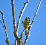 DSCN1206.jpg