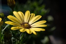 DSC_3697.jpg