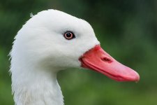DSC_3260.jpg