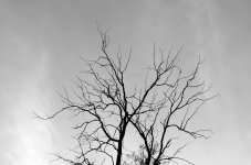 30th June 2015 001.JPG