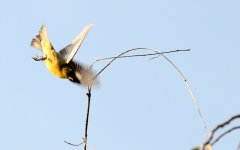 30th June 2015 006.JPG