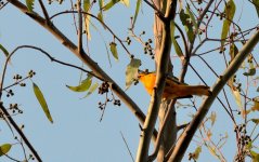 30th June 2015 013.JPG