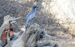 30th June 2015 019.JPG