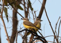 30th June 2015 026.JPG