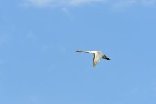 DSCN1282.jpg