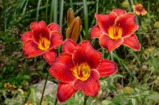 untitled-4436.jpg