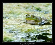 DSC_2273_Web.jpg