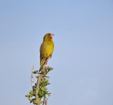 DSCN1316.jpg