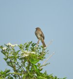 DSCN1358.jpg