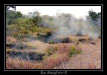 DSC_9266_Web.jpg