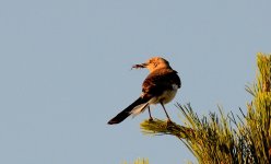 2nd July 2015 016.JPG