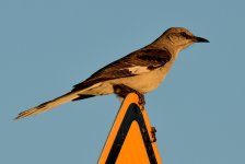 2nd July 2015 031.JPG