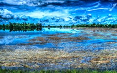 DAH_2619_tonemapped-2-2.jpg