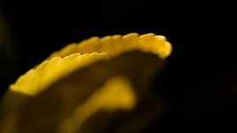 DSC_3764.jpg