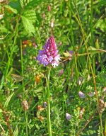 DSCN1429.jpg