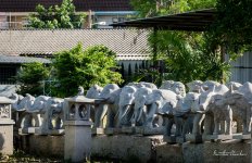 elephants-stone-2.jpg