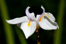 3rd July 2015 038.JPG