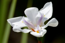 3rd July 2015 040.JPG