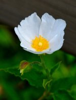 3rd July 2015 041.JPG