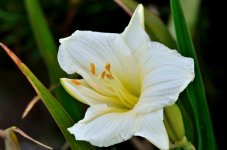 3rd July 2015 043.JPG