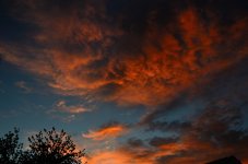 3rd July 2015 044.JPG