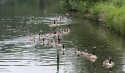 DSC_3802.jpg
