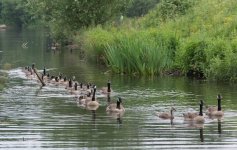DSC_3803.jpg