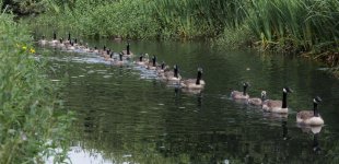 DSC_3816.jpg