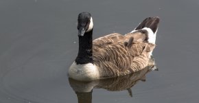 DSC_3797.jpg
