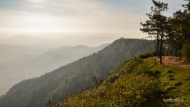 view1-1.jpg