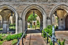 Knoxville,TN--2 (1000x664).jpg