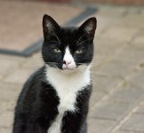 DSC_3511.jpg