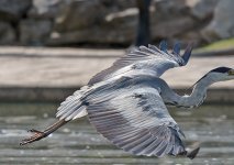DSC_3481.jpg