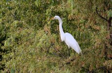 4th 5th July 2015 068.JPG