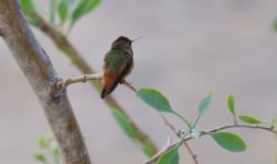 4th 5th July 2015 070.JPG