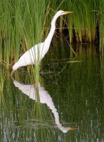 4th 5th July 2015 073.JPG