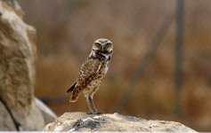 4th 5th July 2015 085.JPG