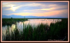 Bear Lake Geese and Sunset 2015.jpg
