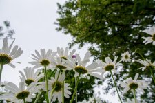 DSC_0577.jpg