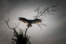 untitled-4581.jpg
