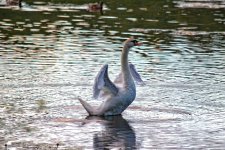 DSC_0152m2.jpg