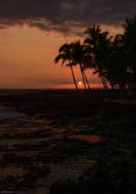 sunset.jpg