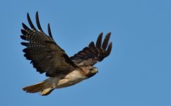 6th July 2015 005.JPG